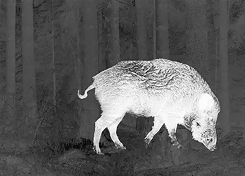 The Core Difference Between Infrared Night Vision Devices And Thermal Imagers